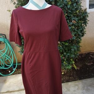 Ann Taylor burgundy boat neck dress